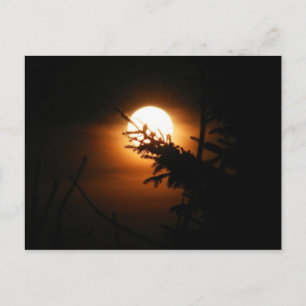 Postal lunar completa