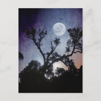 Postal lunar completa