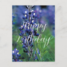 Lupinos flor del estado de Texas Cumpleaños Azul