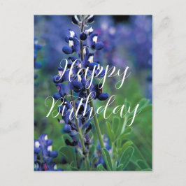 Postal Lupinos flor del estado de Texas Cumpleaños Azul