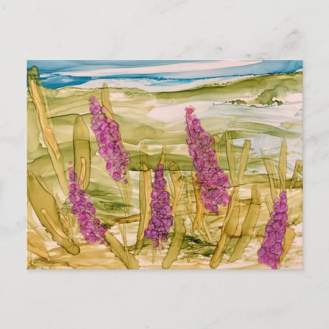 Postal Lupins en estado salvaje (Anverso)