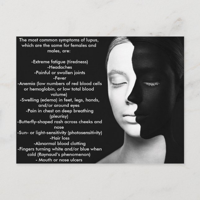 Postal Lupus el compañero silencioso... (Anverso)