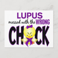 Lupus Envuelto Con El Chick Equivocado