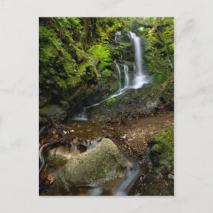Postal Lush California Watervall
