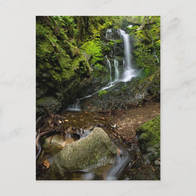 Postal Lush California Watervall (Anverso)