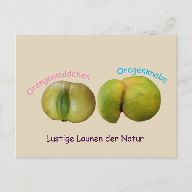 Postal Lustige Orangen (Anverso)