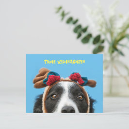 Postal Lustiger Border Collie wünscht frohe Weihnachten