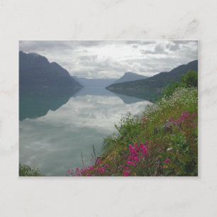 Postal Lustrafjorden Panorama