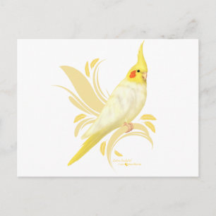 Postal Lutino Cockatiel