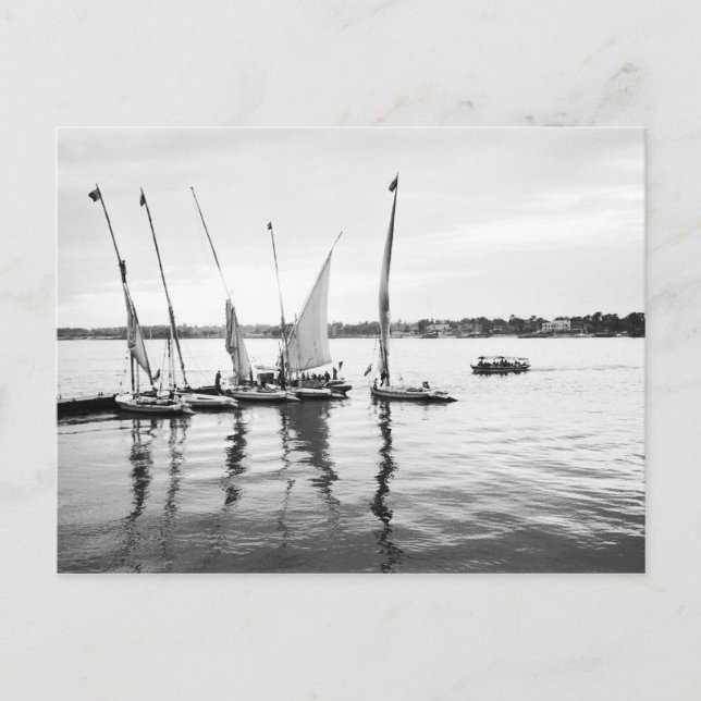 Postal Luxor Egipto, Feluccas en el Nilo (Anverso)