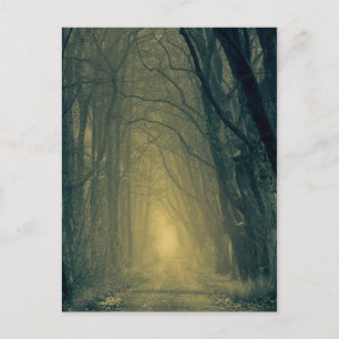 Postal Luz amarilla misteriosa en el bosque