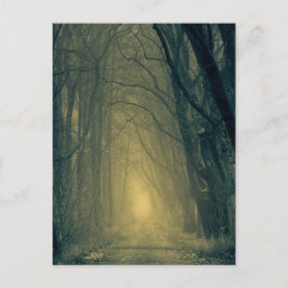 Postal Luz amarilla misteriosa en el bosque