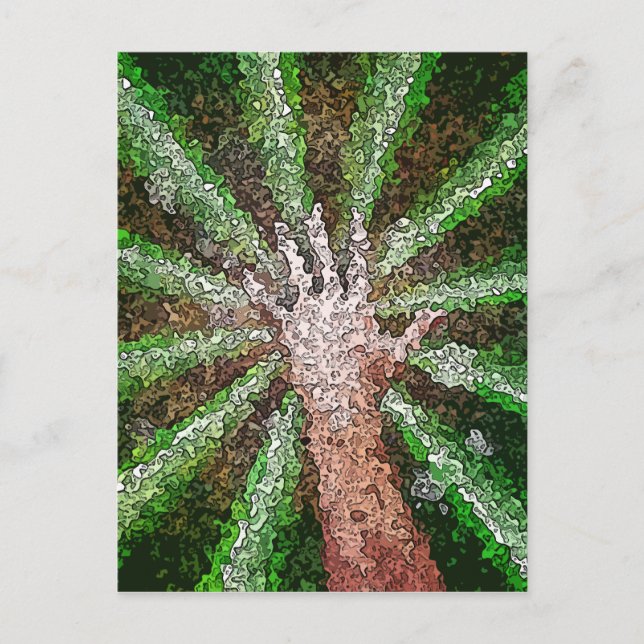 Postal Luz de captura (Anverso)