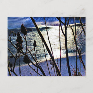Postal Luz de enero sobre patrones de naturaleza de hielo
