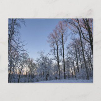 Postal Luz de invierno matutina I