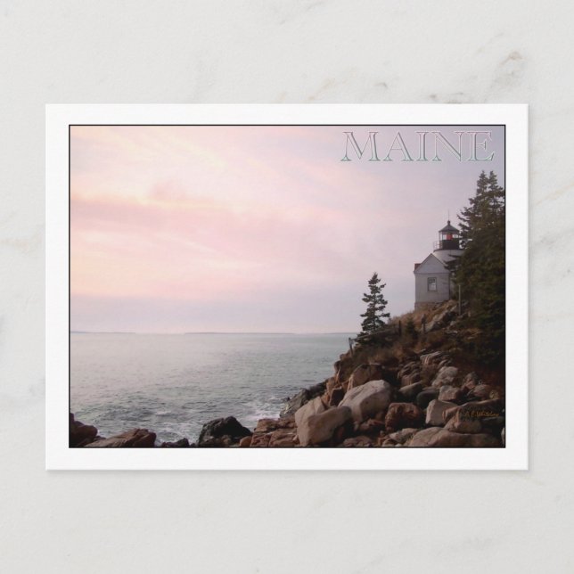 Postal Luz de la cabeza del puerto de Bass, MAINE (Anverso)