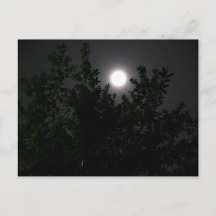 Postal Luz de la luna