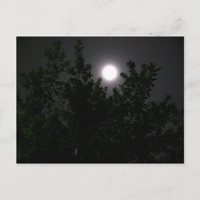 Postal Luz de la luna (Anverso)