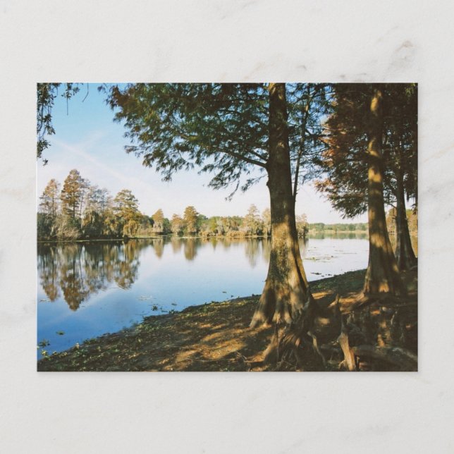 Postal Luz de la mañana (Anverso)