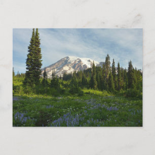 Postal Luz de la Mañana en el Monte Rainier
