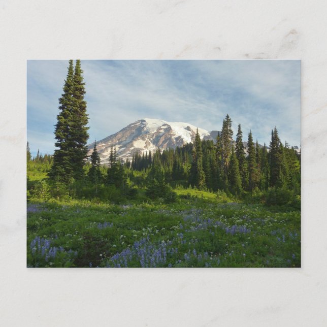 Postal Luz de la Mañana en el Monte Rainier (Anverso)