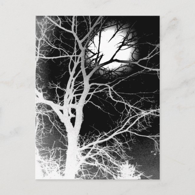 Postal Luz de luna (Anverso)