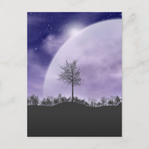 Postal Luz de Luna Estrellas Cielo Árboles Caprichoso Per
