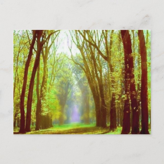 Postal Luz de primavera (Anverso)