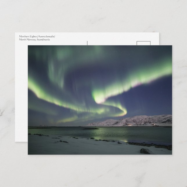 Postal Luz del Norte Noruega (Anverso / Reverso)