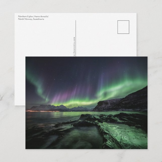 Postal Luz del Norte Noruega (Anverso / Reverso)