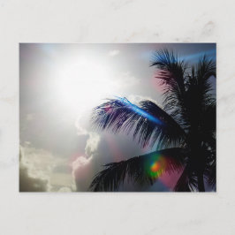 Postal Luz Del Sol En Paraíso