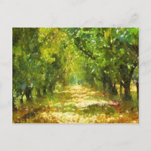Postal Luz desplegada de los sueños del día Arbol Avenida