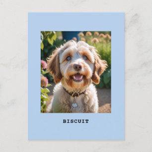 Postal Luz personalizada con foto y nombre de perro o gat