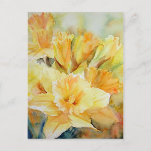 Postal Luz solar destilada