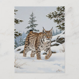 Postal Lynx en Fulufjället Parque nacional Suecia Viajes