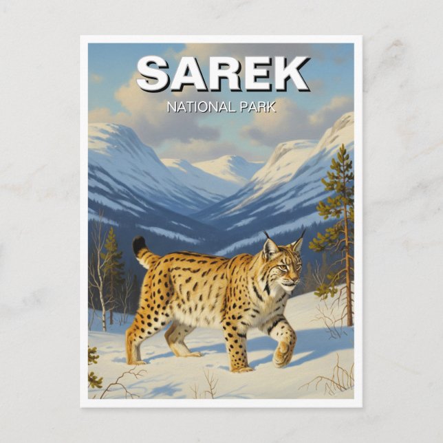 Postal Lynx en Sarek National Park Suecia Viajes (Anverso)