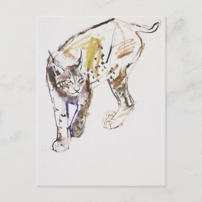 Postal Lynx europeo (Anverso)