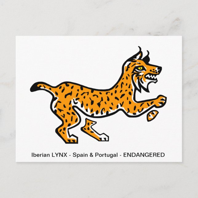 Postal LYNX ibérico dibujado a mano - Conservación - Ecol (Anverso)