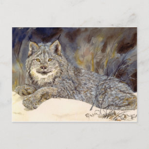 Postal Lynx Postcard