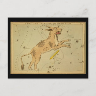 Postal Lynx y Telescopium Herschilii