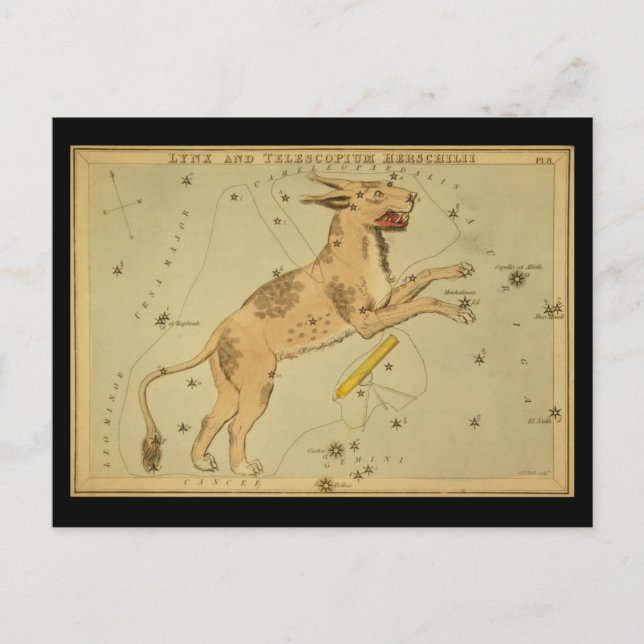 Postal Lynx y Telescopium Herschilii (Anverso)