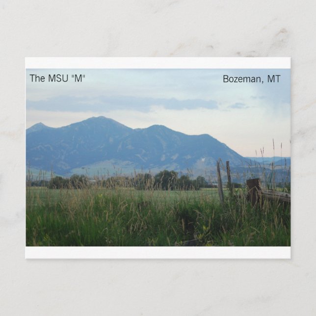 postal "M" de MSU (Anverso)