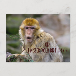 Postal Macaca sylvanus