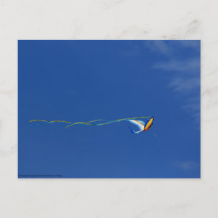 Postal Macaw Kite