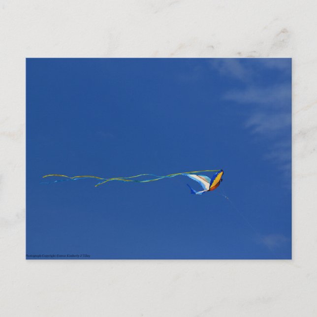 Postal Macaw Kite (Anverso)