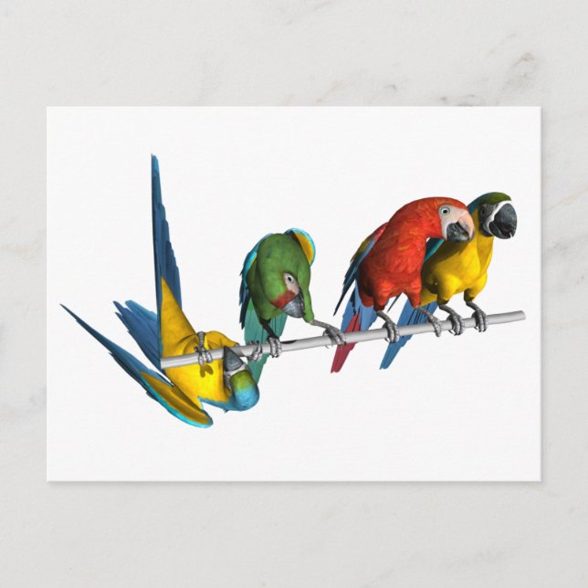 Postal Macaw Parrot (Anverso)