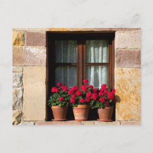 Postal Macetas de ventana en pueblo