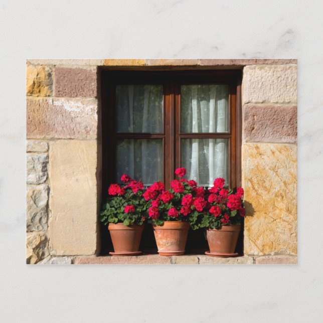 Postal Macetas de ventana en pueblo (Anverso)
