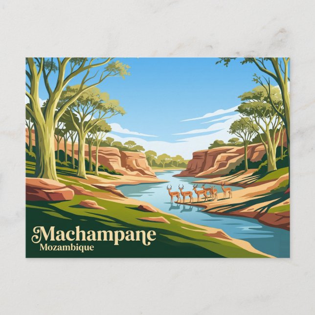 Postal Machampane Wilderness Mozambique (Anverso)
