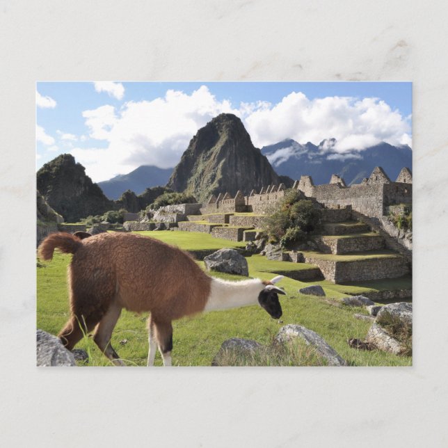 Postal Machu Picchu (Anverso)